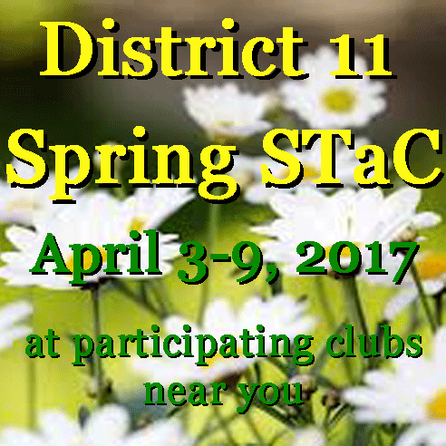 D11 Spring STaC