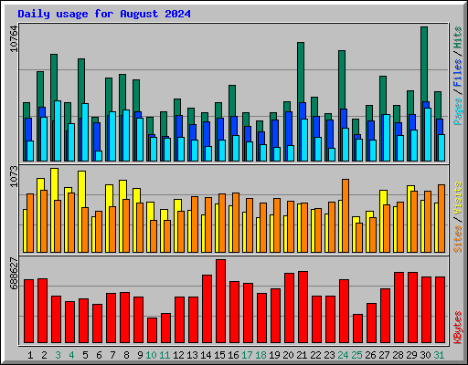 Daily usage for August 2024