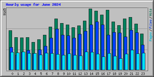 Hourly usage for June 2024