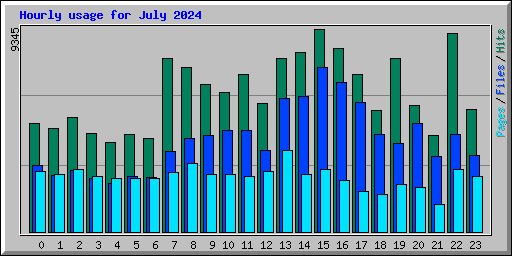 Hourly usage for July 2024