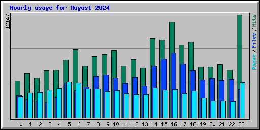 Hourly usage for August 2024